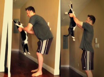 Cat Demands Cat-Dad Guy Hug Him Every Morning In The Most Adorable, Cute Way. I'm So Jealous.