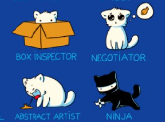 If Cats Had Resumes, What Would They Look Like?