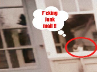 Watch This #EPIC Takedown of the Mailman by A Cat frustrated with Junk Mail