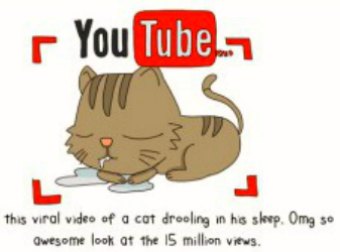 State Of The Internet Cats Revealed [2016]