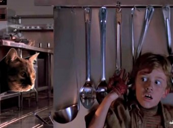 Introducing Purrassic Park - The Scary Movie That Your Cat Wants You To See