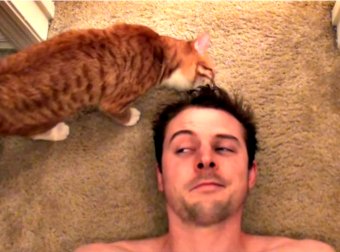 9 Ways In Which Your Cat Is Manipulating You… And You Don't Even Realize It!